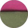 Variation picture for Musgo-rosa